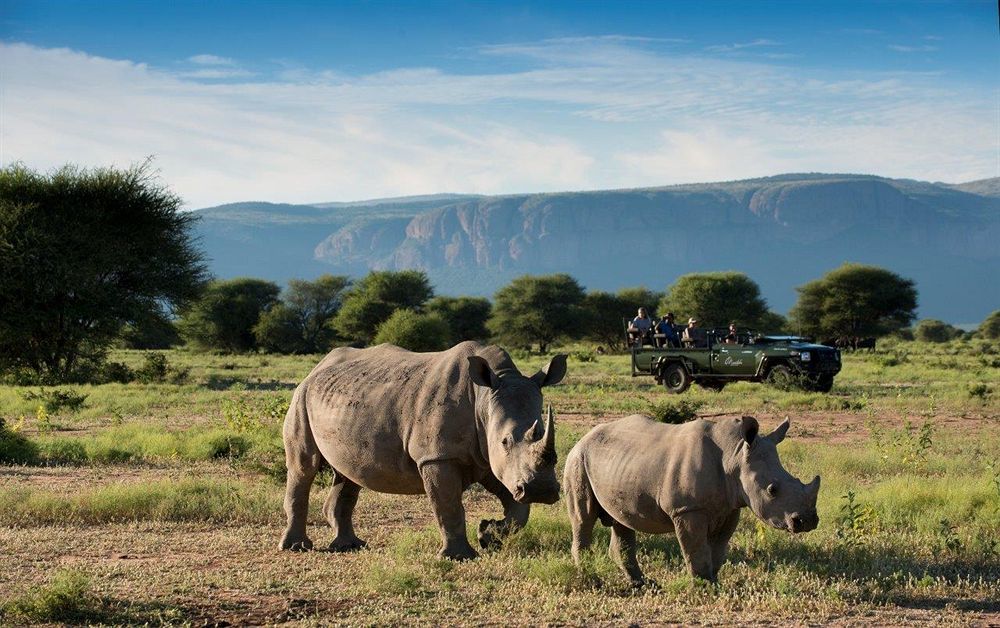 Marataba Safari Lodge Hartbeestfontein Exteriér fotografie